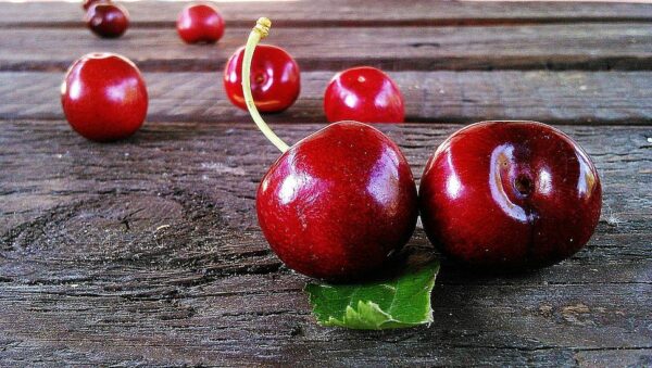 Acerola Cherry - Image 4
