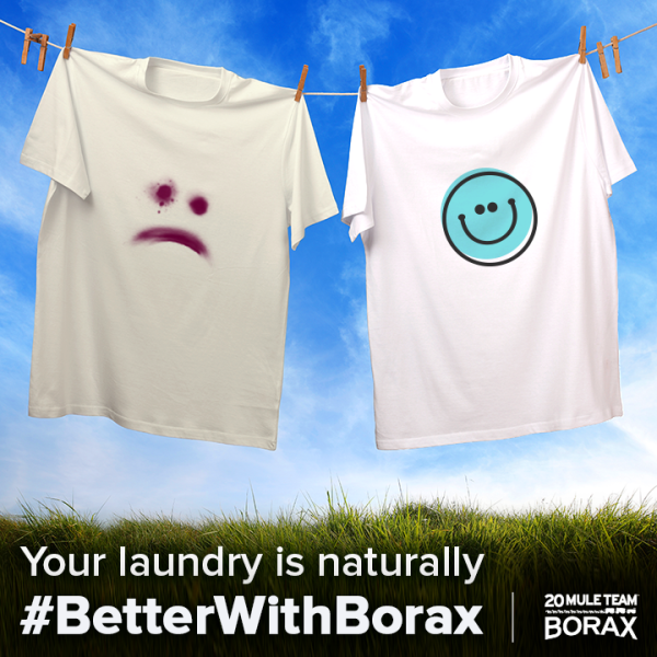Borax 200g - Image 3